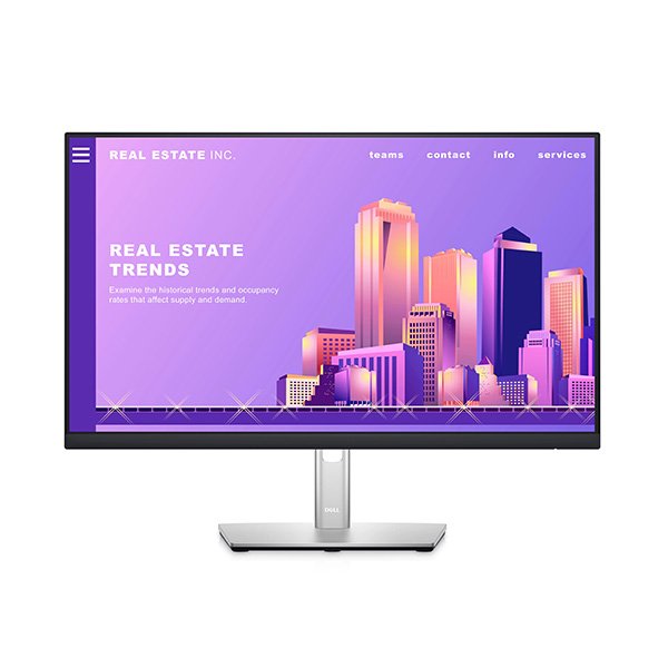 Màn hình Dell P2422Hb
